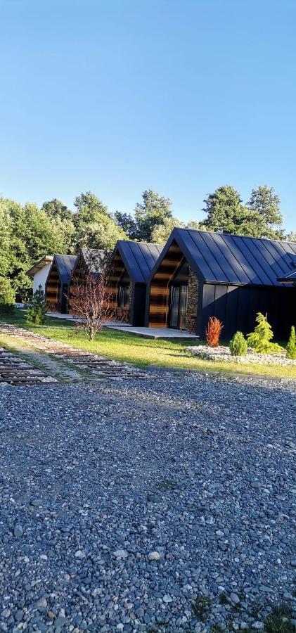 Pastravaria Zavoi Valea Danului Exterior foto